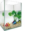 Aquaqrium Fish tanks-1gal 5pc