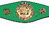 Boxing / Wrestling Belts