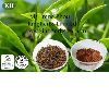 Black Tea Extract