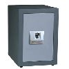 Fingerprint safes